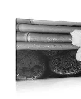 Černobílé obrazy Obraz wellness zátiší v černobílém provedení