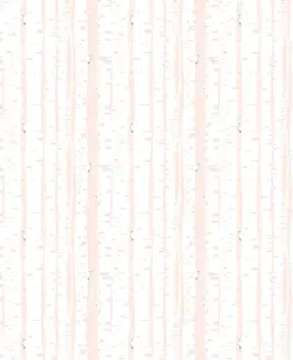 Samolepící tapety Samolepící tapeta růžové březové stromy