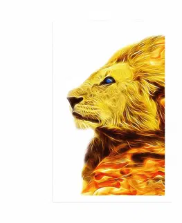 Zvířata Plakát ohnivý lev