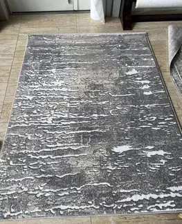 Moderní koberce Decentný koberec s minimalistickým vzorom Šířka: 200 cm | Délka: 290 cm
