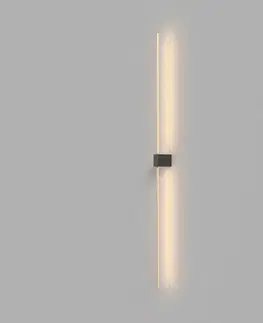 Designová nástěnná svítidla MAYTONI Nástěnné svítidlo Pars C071WL-L12GB3K