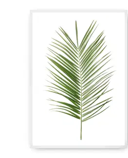 Obrazy a plakáty Plakát Palm Leaf Green