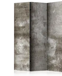 Paravány Paraván Cold Concrete Dekorhome 135x172 cm (3-dílný)