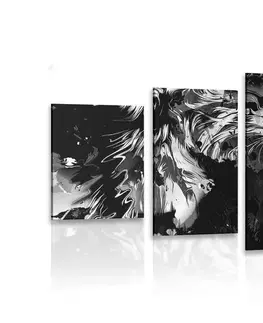 Černobílé obrazy 5-dílný obraz lví hlava v černobílém provedení