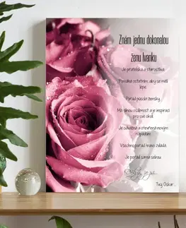 Cedulky s věnovaním (dárky) Dárek pro ženu - Personalizovaná tabulka lásky pro dokonalou přítelkyni