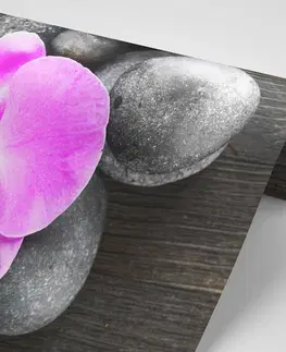 Samolepící tapety Samolepící fototapeta nádherná orchidej a kameny