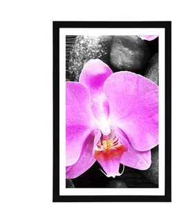 Feng Shui Plakát s paspartou nádherná orchidej a kameny