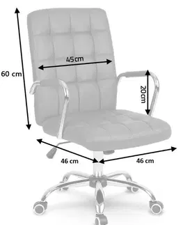 Kancelářské křesla Kožená kancelářská židle v šedé barvě G401