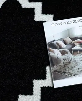 Koberce a koberečky Dywany Lusczow Kusový koberec SKETCH LUKE černý / bílý trellis, velikost 200x290
