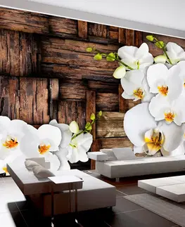 Tapety květiny Fototapeta kvetoucí orchidej - Blooming orchids