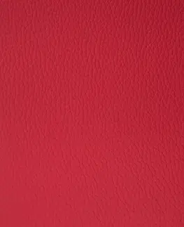 Předsíňové stěny Lavice s úložným prostorem umělá kůže Dekorhome Červená