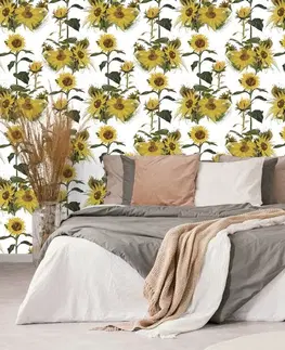 Tapety květiny Tapeta slunečnice na bílém pozadí