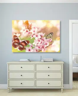 Obrazy zvířat Obraz jarní květiny s exotickými motýly