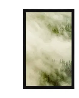Příroda Plakát mlhavý les