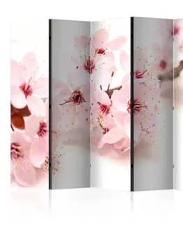 Paravány Paraván Cherry Blossom Dekorhome 225x172 cm (5-dílný)