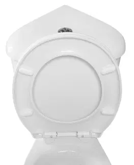 Záchody AQUALINE CLIFTON rohové WC kombi, dvojtlačítko 3/6l, zadní/spodní odpad, bílá FS1PK