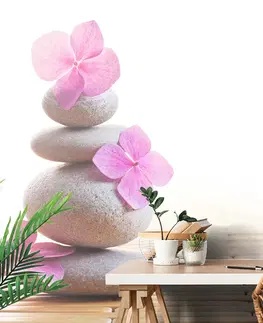 Tapety Feng Shui Fototapeta balans kamenů a růžové květiny