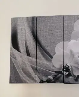 Černobílé obrazy 5-dílný obraz orchidej na plátně v černobílém provedení