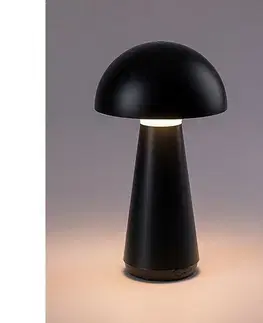 Lampičky Rabalux 76007 stolní LED lampa Ishtar, 3 W, černá