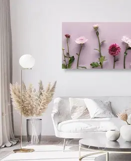 Obrazy květů Obraz kompozice růžových chryzantém