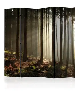 Paravány Paraván Coniferous forest Dekorhome 225x172 cm (5-dílný)