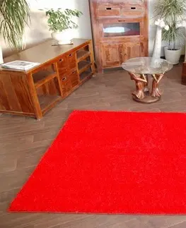 Koberce a koberečky Dywany Lusczow Kusový koberec SHAGGY Izebelie 5cm červený, velikost 80x120