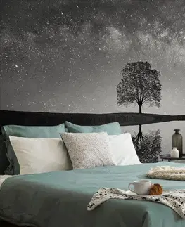 Černobílé tapety Fototapeta černobílá hvězdná obloha nad osamělým stromem