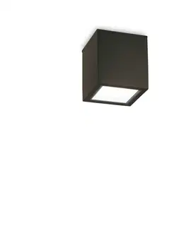 Moderní venkovní stropní svítidla Venkovní stropní přisazené svítidlo Ideal Lux TECHO PL1 SMALL NERO 251578 GU10 1x20W IP54 9cm černé