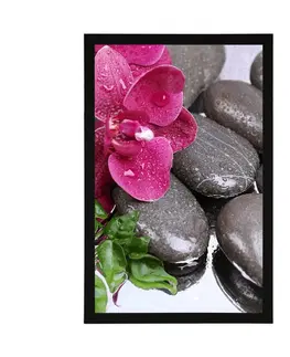 Feng Shui Plakát kvetoucí orchidej a wellness kameny