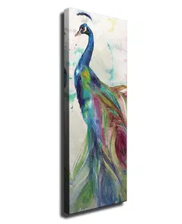 Obrazy Wallity Obraz na plátně Peacock PC118 30x80 cm