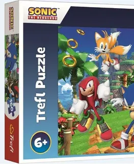 Hračky puzzle TREFL - Puzzle Sonic a přátelé/Sonic The Hedgehog 160 dílků