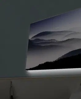 Obrazy Obraz na plátně MLHAVÝ LES s led osvětlením 45 cm