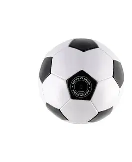 Hračky na zahradu Teddies Fotbalový míč, pr. 23 cm