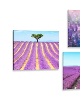 Sestavy obrazů Set obrazů levandulové pole