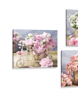 Sestavy obrazů Set obrazů kytice květin ve vintage provedení