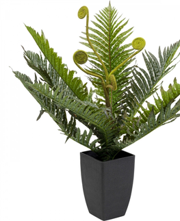 Umělé rostliny KARE Design Dekorativní rostlina Farn 55cm