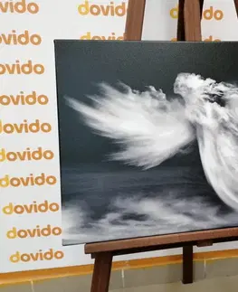 Černobílé obrazy Obraz podoba anděla v oblacích v černobílém provedení