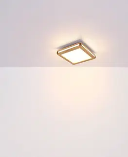 Stropní svítidla Globo LED stropní svítidlo Karla square 30x30 cm