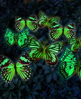Svíčky a světelné dekorace 18 světélkujících motýlků