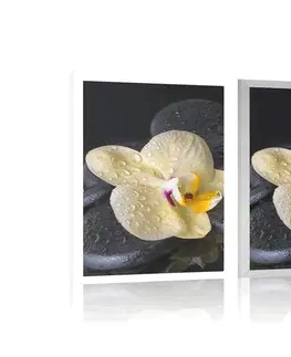 Feng Shui Plakát Zen kameny se žlutou orchidejí