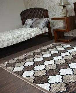 Koberce a koberečky Dywany Lusczow Kusový koberec ACRYLOVY YAZZ 3766 tmavě béžový / losos trellis, velikost 240x330