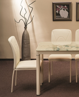 Jídelní stoly Jídelní stůl NEFON 100x60 cm, krémová 