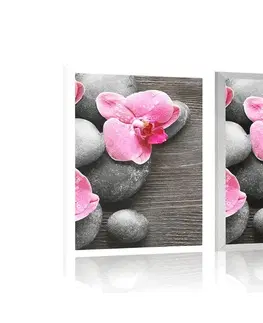 Feng Shui Plakát elegantní kompozice s květinami orchideje