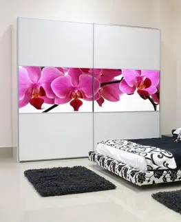 Tapety na nábytek Nálepka na nábytek - Růžové orchideje