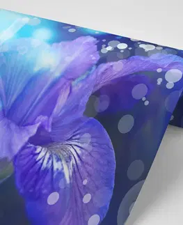 Samolepící tapety Samolepící tapeta okouzlující síla lilie