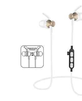Myši  Bluetooth sluchátka s mikrofonem a MicroSD přehrávačem bílá/zlatá 
