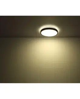 LED stropní svítidla GLOBO GREGORY 41763BS Stropní svítidlo