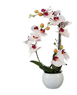 Květiny Umělá Orchidej v keramickém květináči bílá, 42 cm 1118033-10
