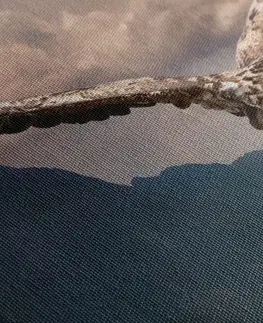 Obrazy zvířat Obraz orel s roztaženými křídly nad horami
