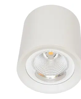 Moderní bodová svítidla Ecolite Svítidlo přisazené, COB, 30W, 4100K, bílé MZ-DL-30W/BI